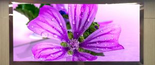 連鎖火鍋店老板哭訴：門頭LED廣告機(jī)讓我多賺了110萬，但千萬別學(xué)我踩這3個(gè)坑！”