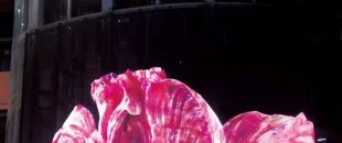 led屏為什么會(huì)流行起來(lái)？都有什么特點(diǎn)？