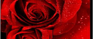  小間距LED屏的像素這么密，是怎么做到不出現(xiàn)顏色偏差的呀？